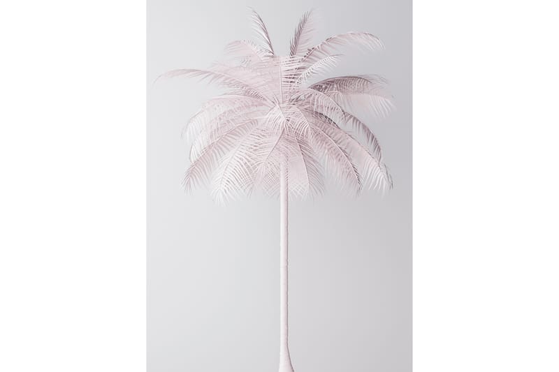 Palmtree Foto Lyserød/Hvid - 50x70 cm - Posters & plakater - Børneplakater