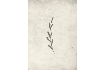 Poster Autumn leaf 21x30 cm - Beige - Boligtilbehør - Billeder & kunst - Posters & plakater