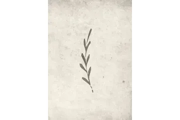 Poster Autumn leaf 70x100 cm - Beige - Boligtilbehør - Billeder & kunst - Posters & plakater