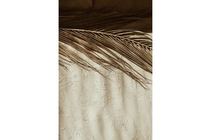 Poster Dessert 70x100 cm, Beige
