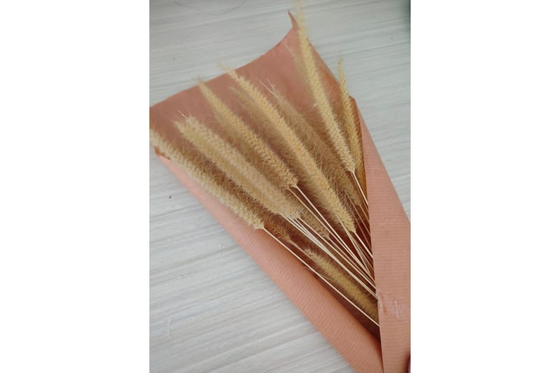 Poster Dry flowers 21x30 cm, Rosa/Beige