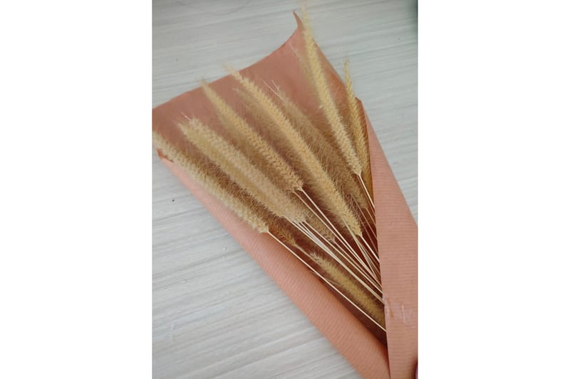 Poster Dry flowers 70x100 cm, Rosa/Beige