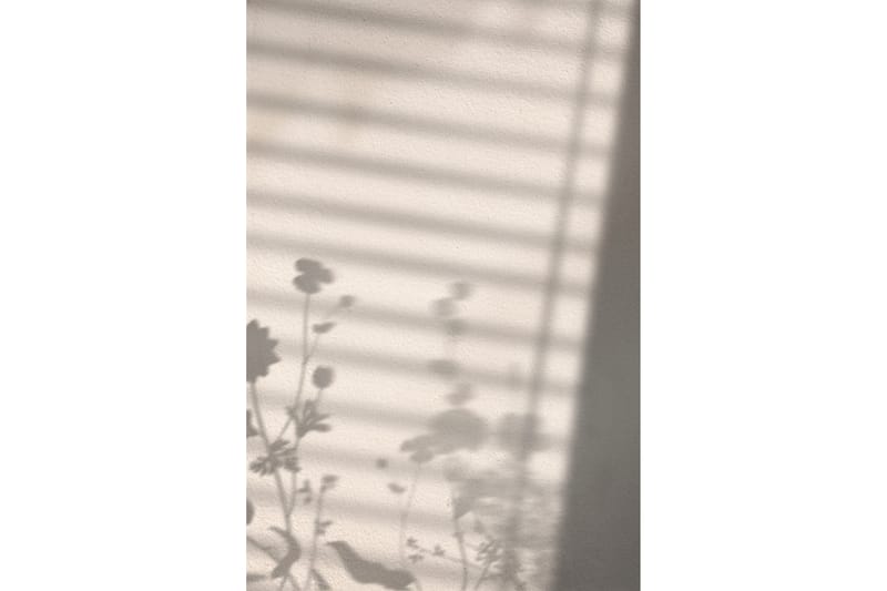 Poster Flower shadow 21x30 cm - Hvid - Posters & plakater