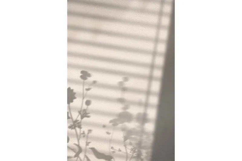 Poster Flower Shadow 30x40 cm, Hvit