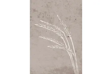 Poster Seeds 21x30 cm - Beige - Boligtilbehør - Billeder & kunst - Posters & plakater