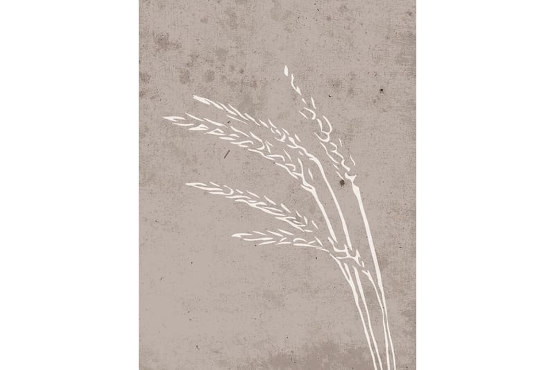 Poster Seeds 30x40 cm - Beige - Boligtilbehør - Billeder & kunst - Posters & plakater