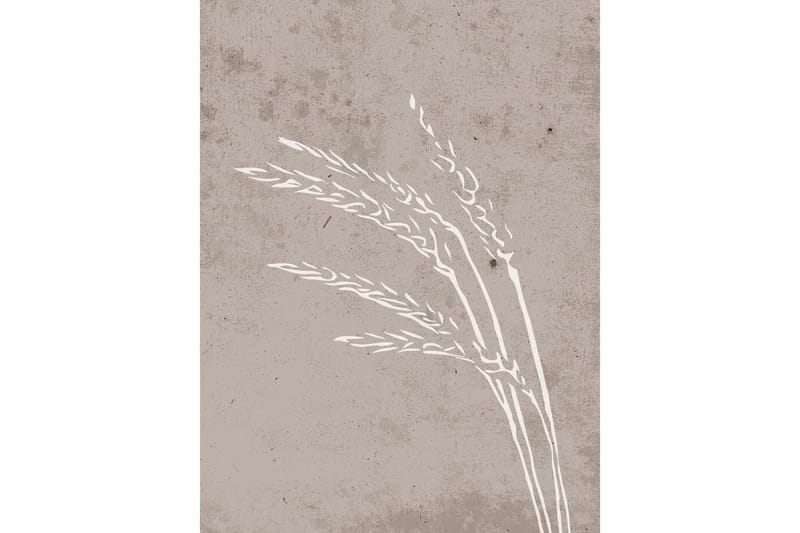 Poster Seeds 30x40 cm, Beige