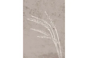 Poster Seeds 50x70 cm - Beige - Boligtilbehør - Billeder & kunst - Posters & plakater