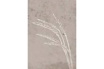 Poster Seeds 70x100 cm - Beige - Boligtilbehør - Billeder & kunst - Posters & plakater