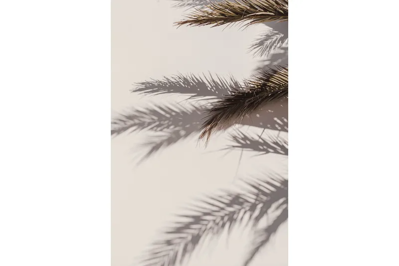 Poster Shadow 50x70 cm - Beige - Boligtilbehør - Billeder & kunst - Posters & plakater