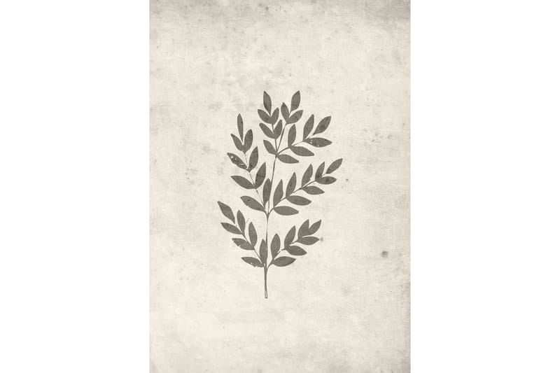 Poster Spring leaf 21x30 cm, Beige