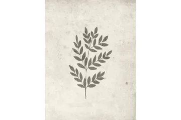 Poster Spring leaf 30x40 cm - Beige - Boligtilbehør - Billeder & kunst - Posters & plakater