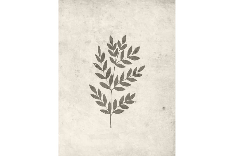 Poster Spring leaf 30x40 cm, Beige