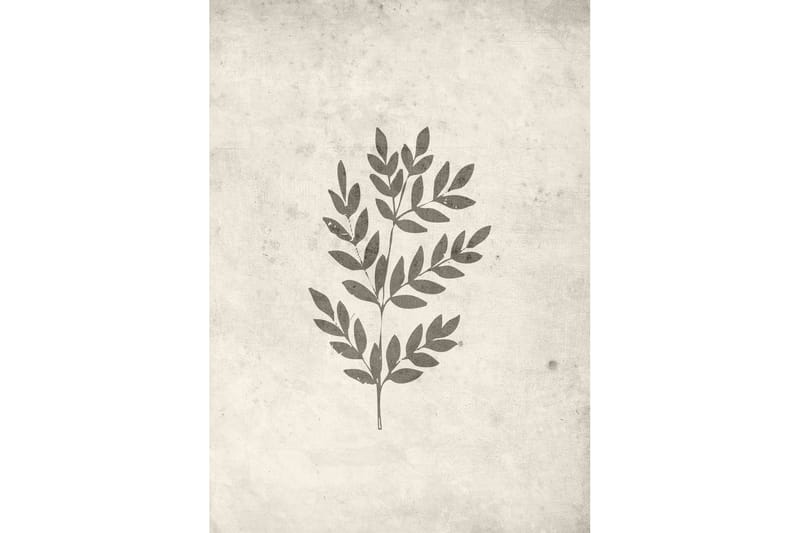Poster Spring leaf 50x70 cm, Beige