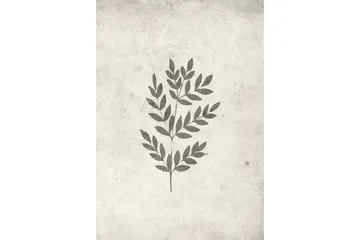 Poster Spring leaf 70x100 cm - Beige - Boligtilbehør - Billeder & kunst - Posters & plakater
