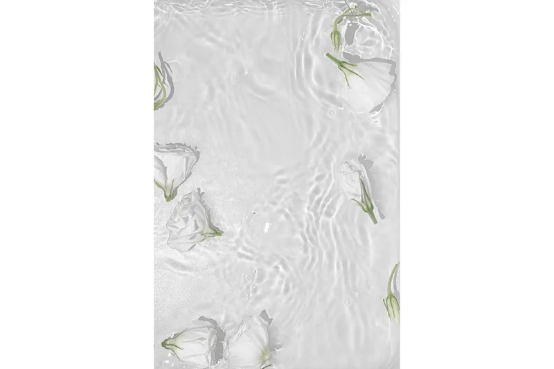 Poster White Roses 21x30 cm, Hvit