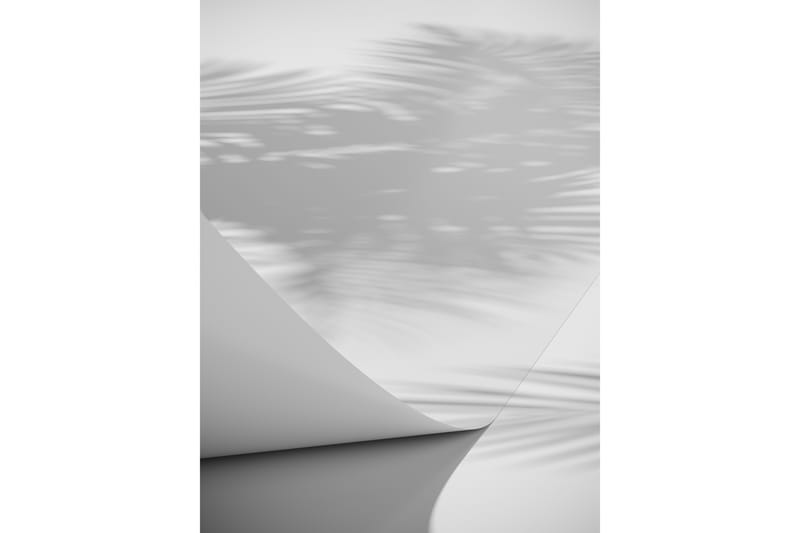 Poster Papyrus 70x100 cm, Hvit