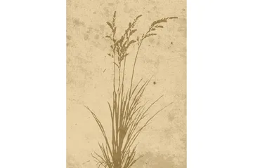 Poster Plant art 50x70 cm - Beige - Boligtilbehør - Billeder & kunst - Posters & plakater