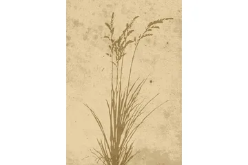 Poster Plant art 21x30 cm - Beige - Boligtilbehør - Billeder & kunst - Posters & plakater