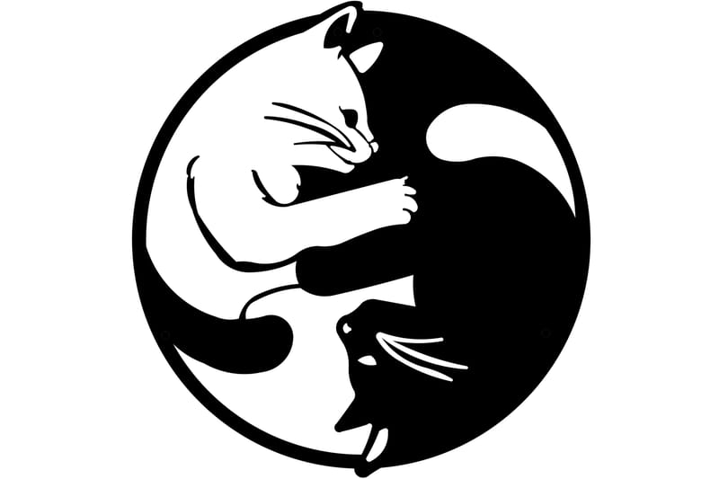 Yin Yang Cats Fototapet - Homemania - Billeder på lærred