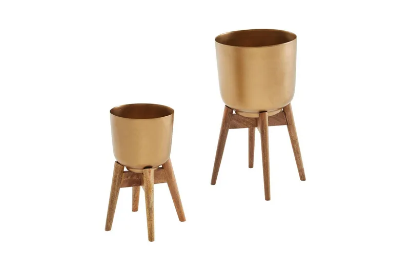 Krukväxter Wohnling Guld, Brun, undefined