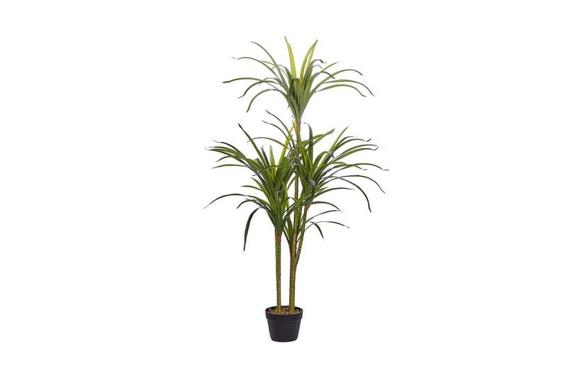 Berden Konstig Potteplante 147 cm Dracaena anita - Grøn - Balkonblomster - Kunstige planter