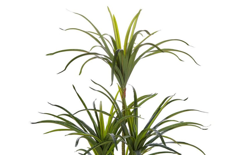 Berden Konstig Potteplante 147 cm Dracaena anita - Grøn - Balkonblomster - Kunstige planter