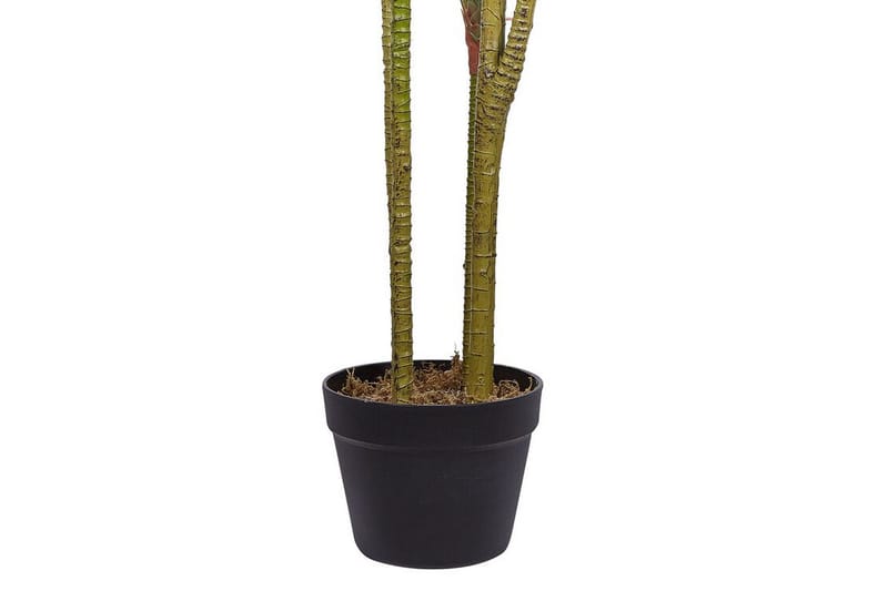 Berden Konstig Potteplante 147 cm Dracaena anita - Grøn - Balkonblomster - Kunstige planter