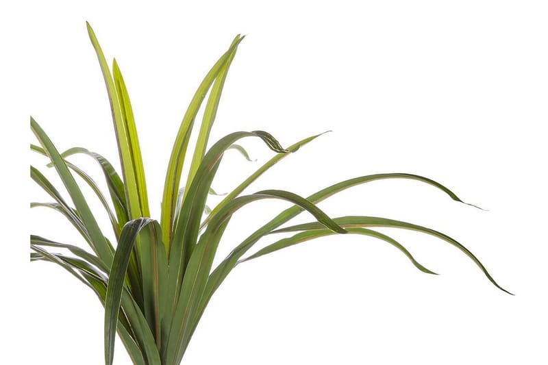 Berden Konstig Potteplante 147 cm Dracaena anita - Grøn - Balkonblomster - Kunstige planter