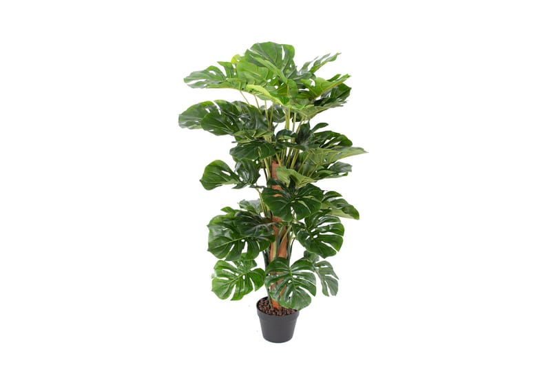 Grøn plante MONSTERA H105cm - Balkonblomster - Kunstige planter