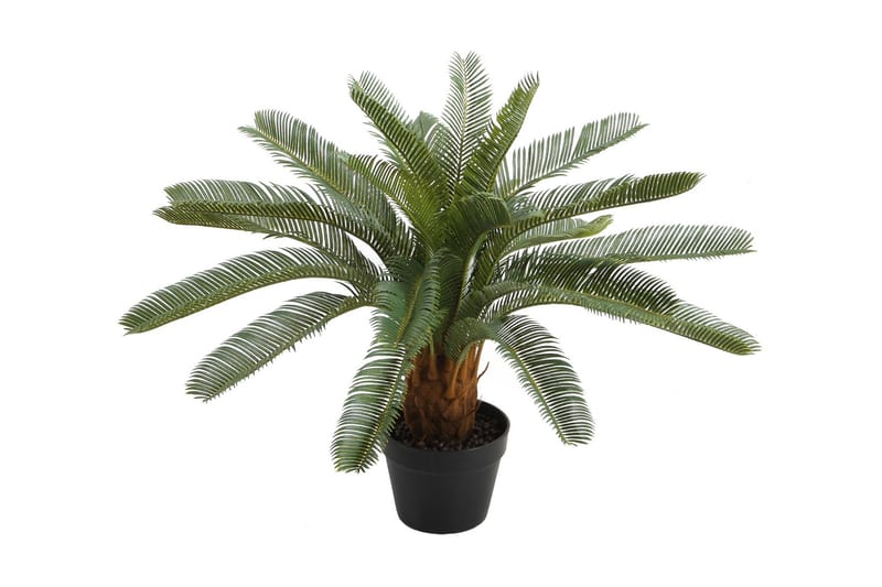 Grøn plante CYCAS H70cm sort krukke - Balkonblomster - Kunstige planter