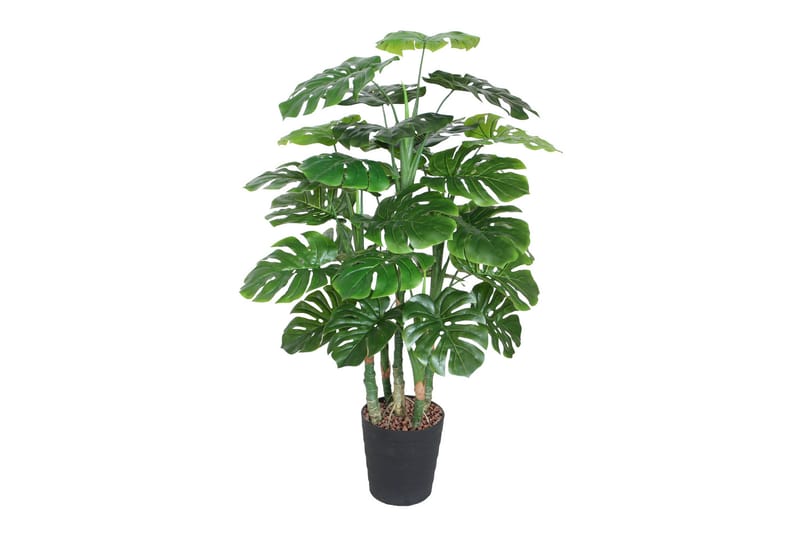 Grøn plante MONSTER H120cm 5 grene sort gryde, undefined
