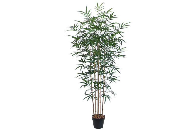 Grøn plante BAMBOO H150cm 5 grene sort gryde, undefined