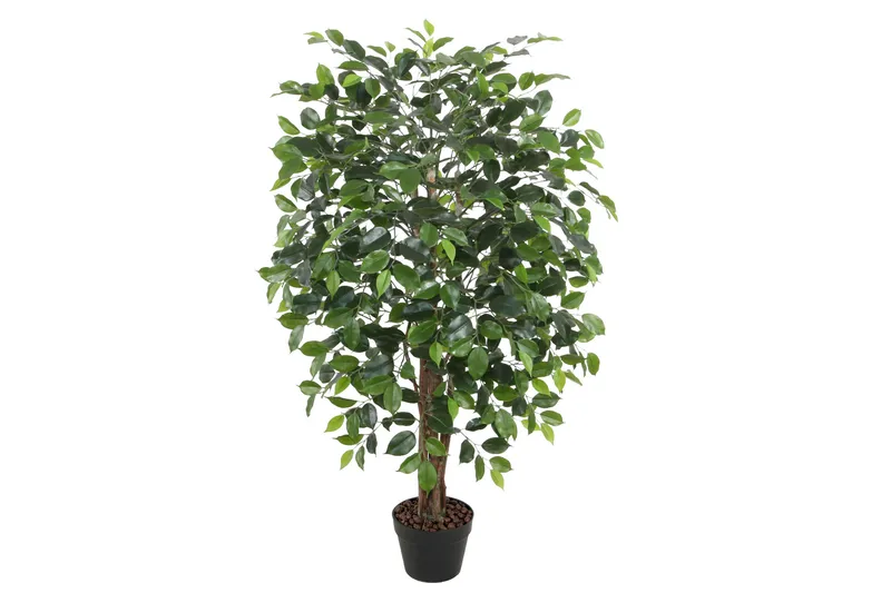 Grøn plante FICUS H120cm 1 gren sort krukke, undefined