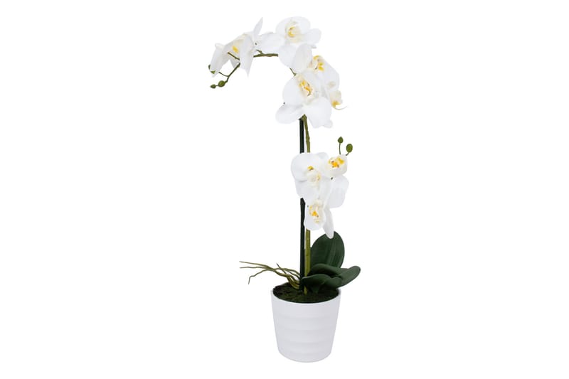 Hvid Orkidé 51 cm på Hvid Krukke - Balkonblomster - Kunstige planter