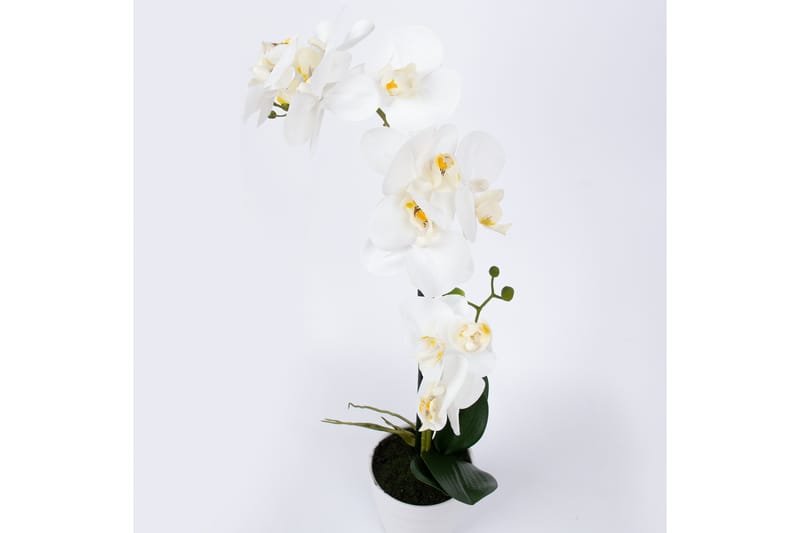 Hvid Orkidé 51 cm på Hvid Krukke - Balkonblomster - Kunstige planter