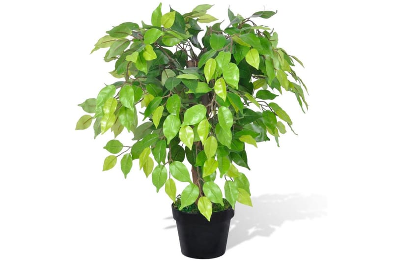 Kunstig Dværg Ficus Med Potte 60 Cm - Grøn - Balkonblomster - Kunstige planter