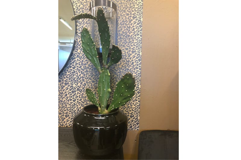 Piscode Kunstig Plante Kaktus - Grøn - Balkonblomster - Kunstige planter