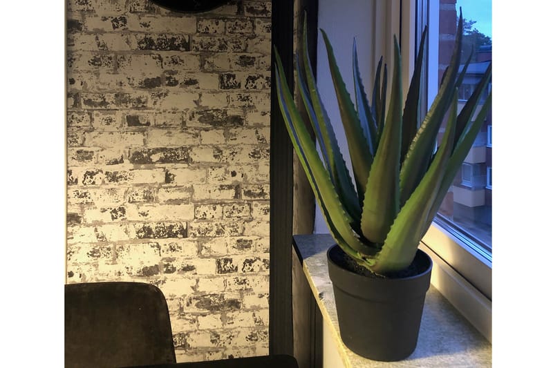 Piscode Kunstig Plante Aloevera 50 cm - Grøn - Balkonblomster - Kunstige planter