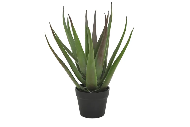 Piscode Kunstig Plante Aloevera 50 cm, Grøn