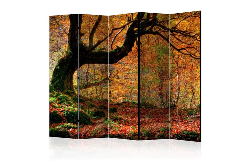 Rumdeler - Autumn, forest and leaves II 225x172, Artgeist sp. z o. o.