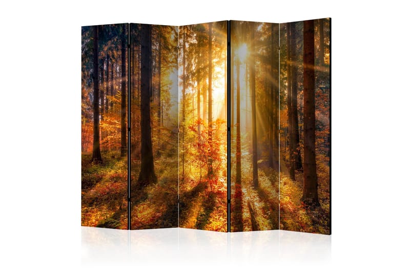 Rumdeler - Autumn Awakening II 225x172, Artgeist sp. z o. o.