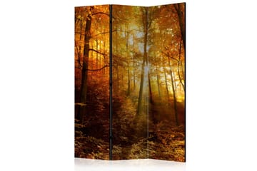 Rumdeler - Autumn Illumination 135x172 - Artgeist sp. z o. o. - Boligtilbehør - Rumdelere - Foldeskærm