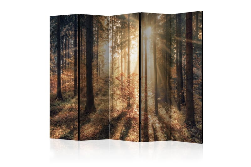 Rumdeler - Autumnal Forest II 225x172, Artgeist sp. z o. o.