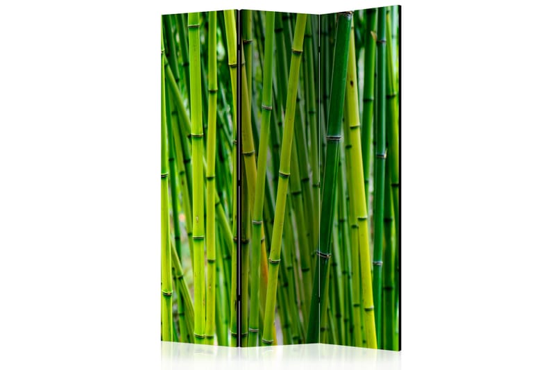 Rumdeler Bamboo Forest 135x172 - Artgeist sp. z o. o. - Foldeskærm - Rumdelere