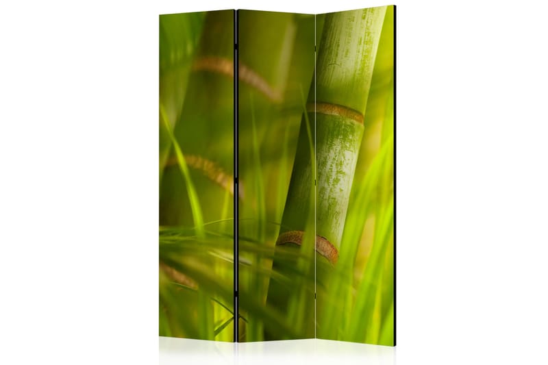Rumdeler Bamboo - Nature Zen 135x172 cm - Artgeist sp. z o. o. - Foldeskærm - Rumdelere