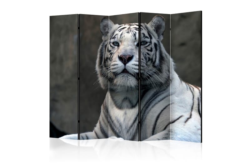 Rumdeler - Bengali tiger in zoo II 225x172 - Artgeist sp. z o. o. - Foldeskærm - Rumdelere