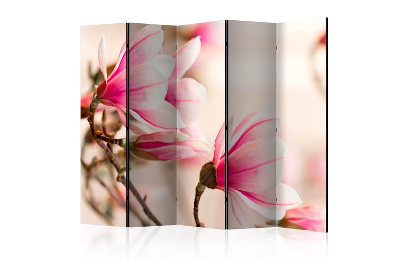 Rumdeler - Branch of magnolia tree II 225x172, Artgeist sp. z o. o.