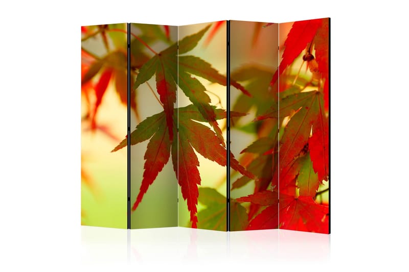Rumdeler - Colourful leaves II 225x172, Artgeist sp. z o. o.