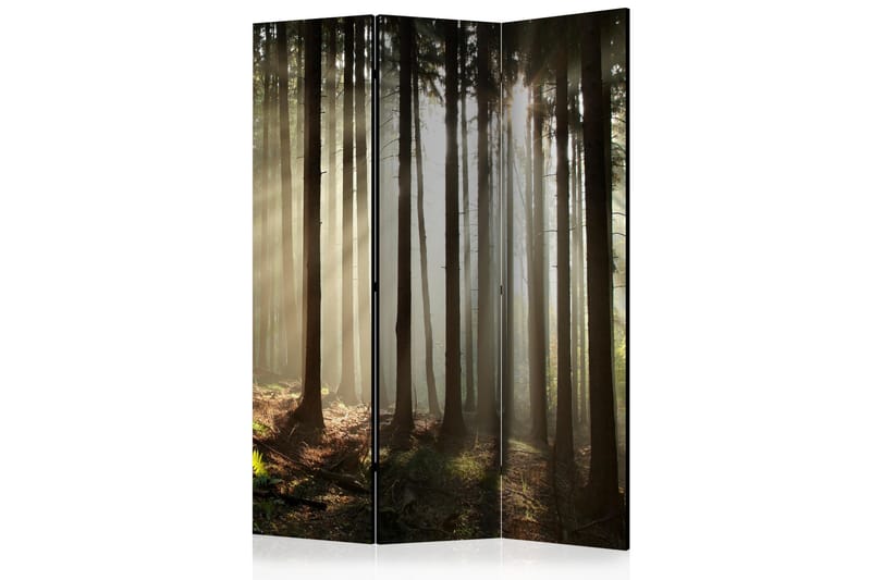 Rumdeler Coniferous Forest 135x172 cm - Artgeist sp. z o. o. - Foldeskærm - Rumdelere